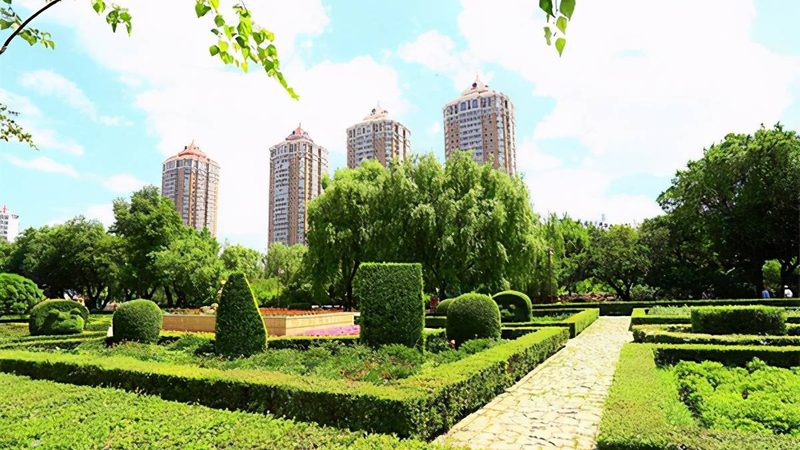 绿植租赁与盆栽批发：两种服务背后的差异解析