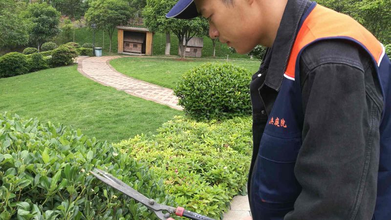广州园林景观设计品牌对比：解码品质与风格