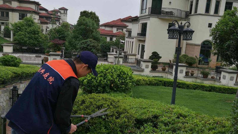 花卉租摆的报价主要受以下因素影响：