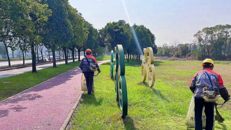 成都大型绿植租赁批发：揭秘行业秘密与选购技巧**