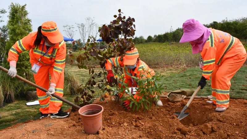 垂直绿化植物墙施工方法