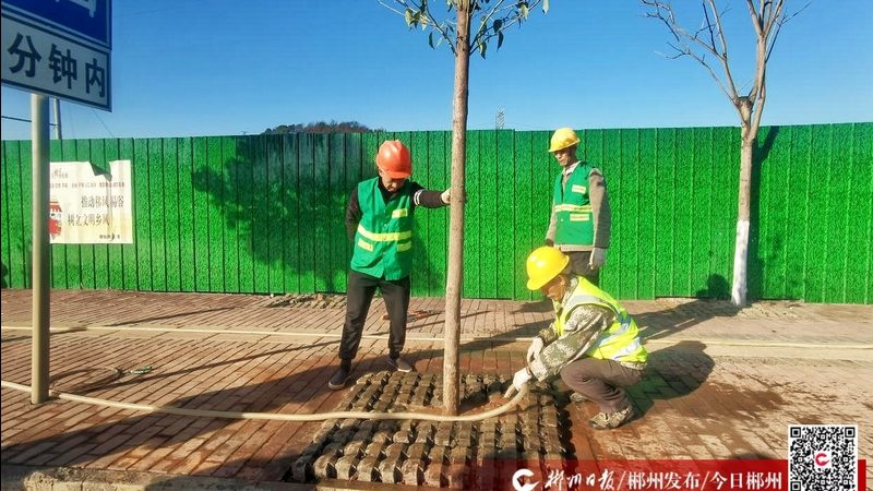 小区绿化工程报价单范本解析：关键要素与注意事项