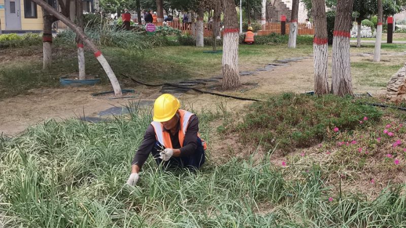 边坡绿化无土喷播：技术参数解析与应用**