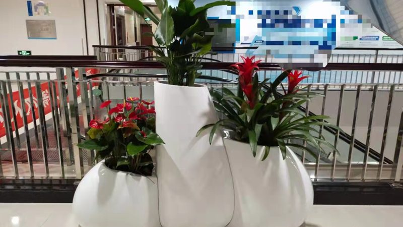 四季常青小区草坪推荐