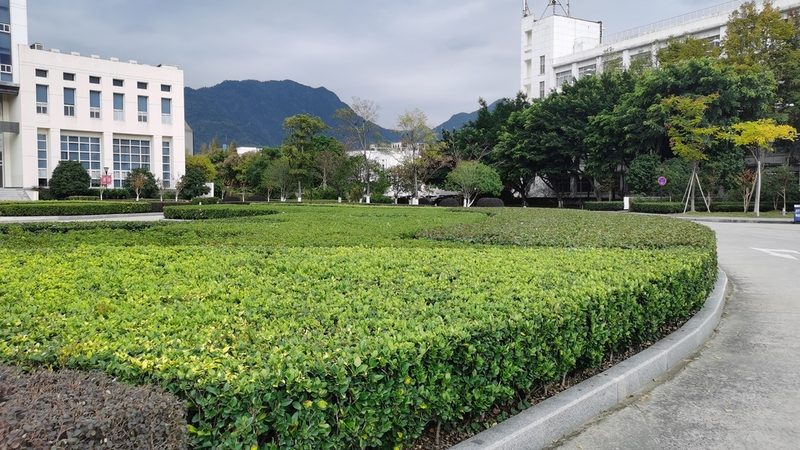园林工程报价软件：揭秘其核心功能与选型要点